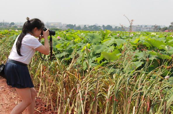 南疆公司舉辦“荷花攝影比賽”