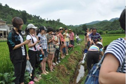 通泰公司簡(jiǎn)訊——和諧團(tuán)隊(duì) 田園相聚