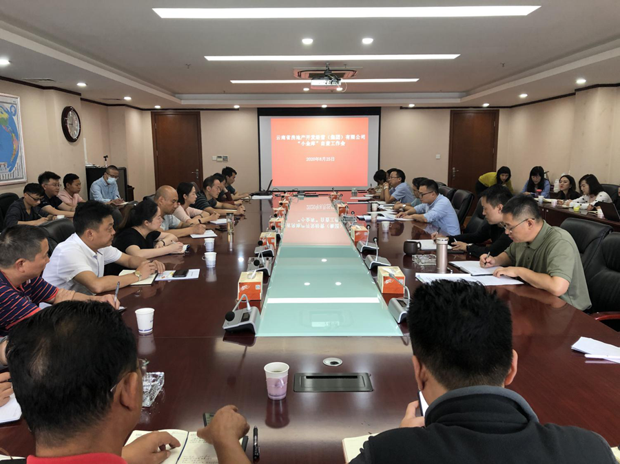 公司召開“小金庫(kù)”自查專項(xiàng)會(huì)議