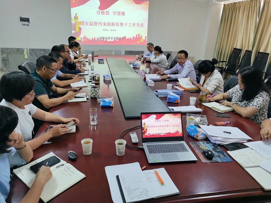 晏小標為康澤公司黨員干部職工講黨課