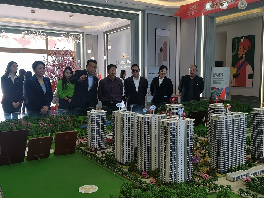 孟春柳到康澤公司調(diào)研