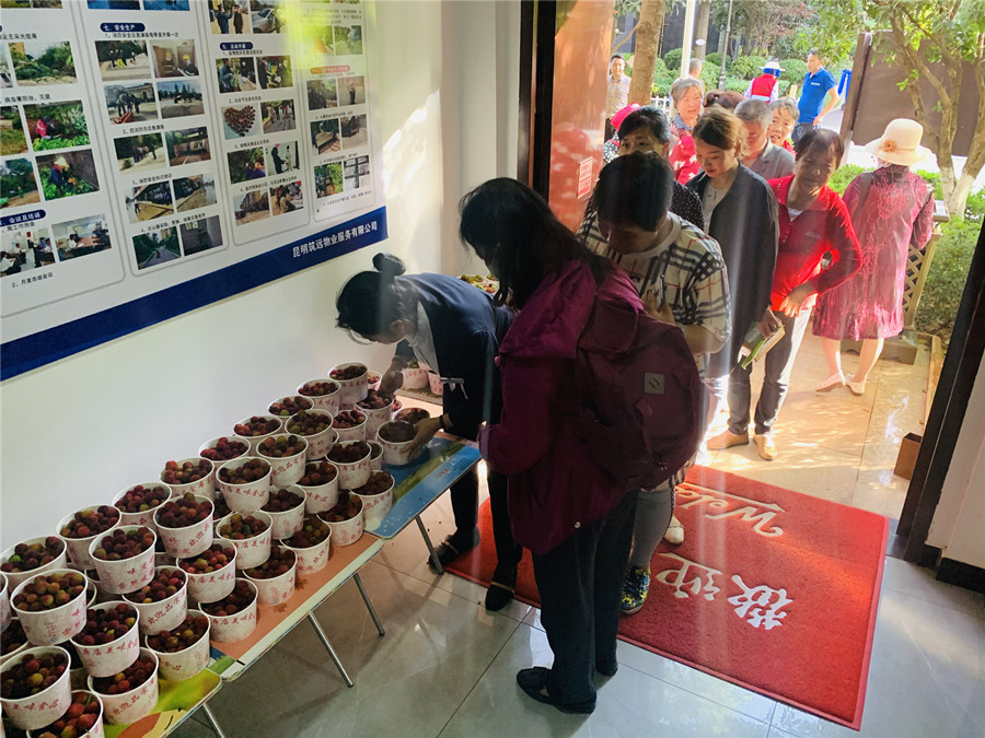 “梅”好生活，與您共享丨筑遠(yuǎn)物業(yè)組織開展感恩業(yè)主送楊梅活動