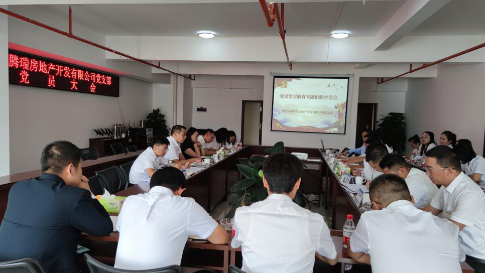 騰瑞公司黨支部召開黨史學(xué)習(xí)教育專題組織生活會(huì)