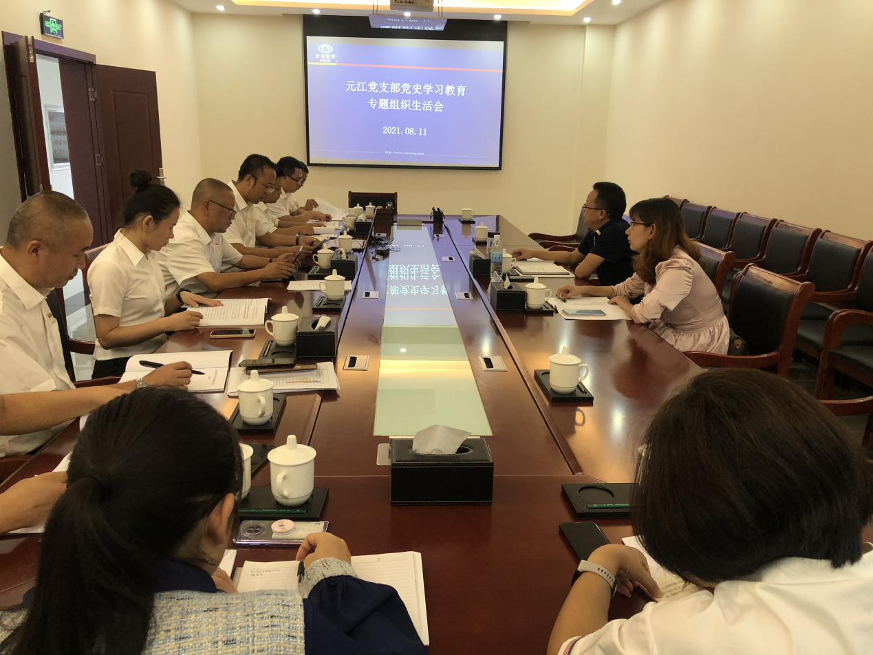 元江黨支部召開黨史學(xué)習(xí)教育專題組織生活會(huì)