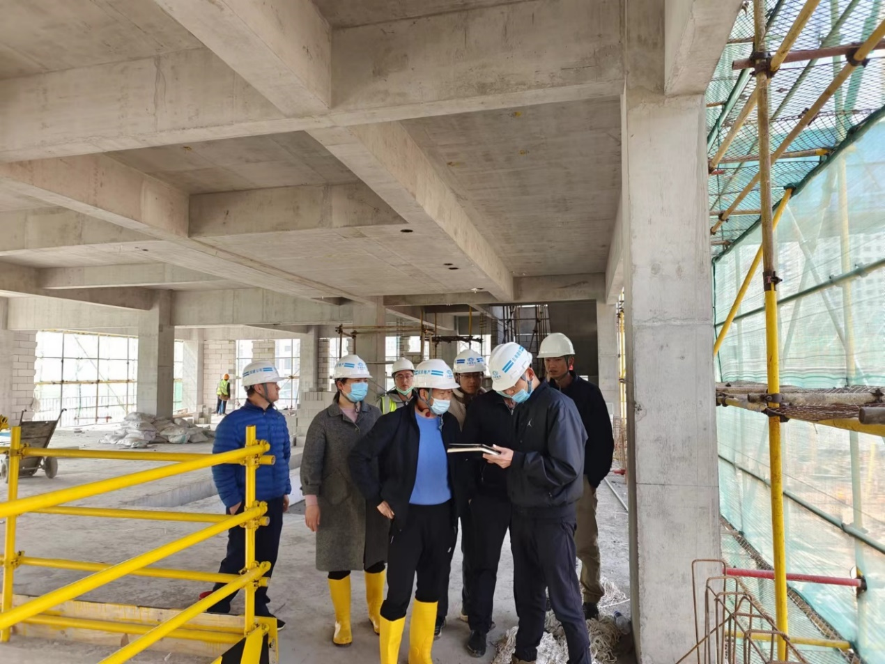 孟春柳到崗頭村項(xiàng)目檢查指導(dǎo)