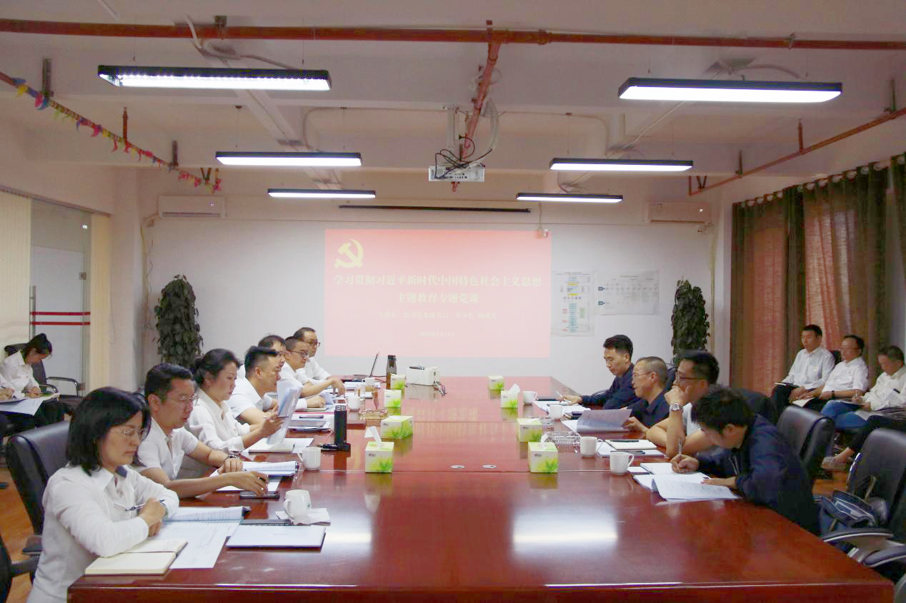 魏成凡到陽宗海片區(qū)講授主題教育專題黨課