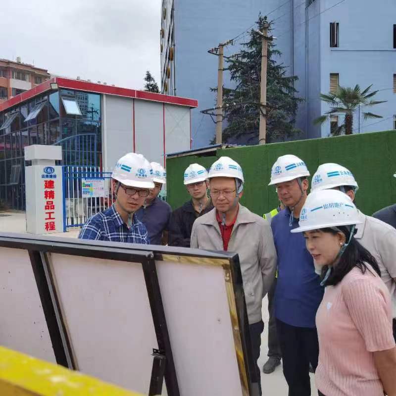 楊國(guó)文調(diào)研建投?春城華府項(xiàng)目
